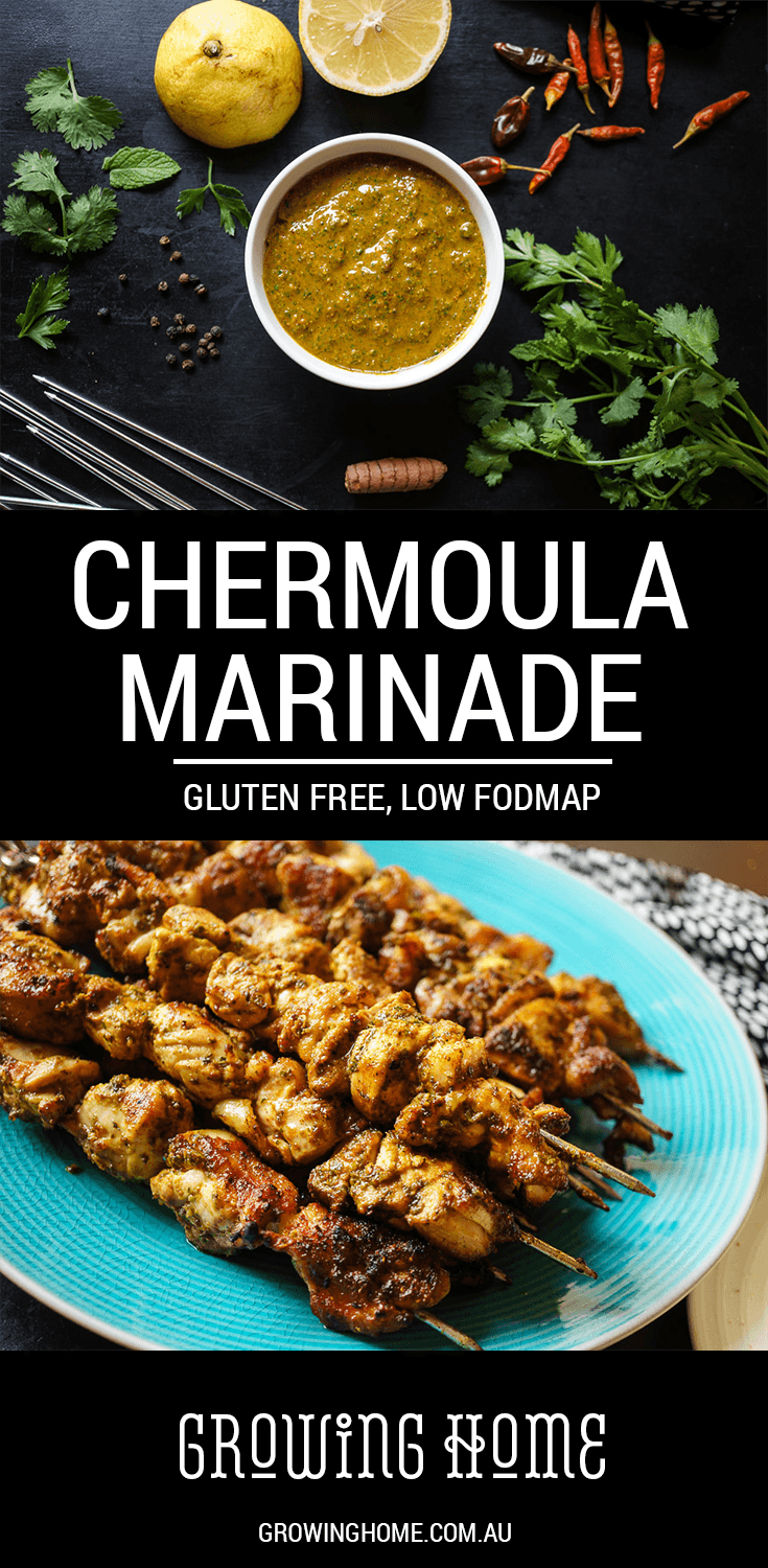 Chermoula Marinade | Gluten Free, Low FODMAP | Growing Home | Growing Home